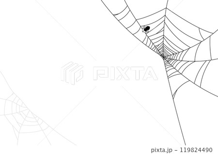 spider web with spider black and white abstract background, no people. insect or bug line art doodle style for backgrounds. spider web with spider black and white abstract background, no people. insect or bug line art doodle style for backgrounds. 119824490