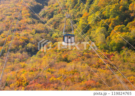 《富山県》紅葉の黒部平・立山黒部アルペンルート 119824765