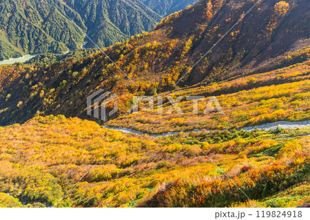 《富山県》紅葉の立山黒部アルペンルート・大観峰雲上テラス 119824918