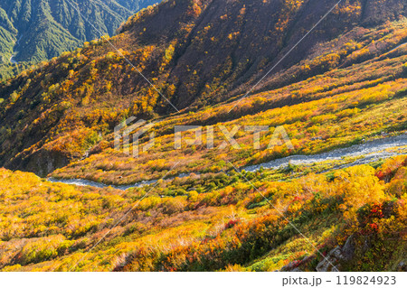 《富山県》紅葉の立山黒部アルペンルート・大観峰雲上テラス 119824923