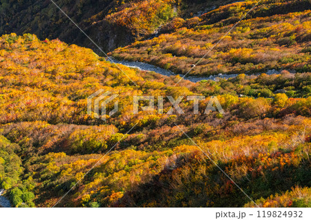 《富山県》紅葉の立山黒部アルペンルート・大観峰雲上テラス 119824932