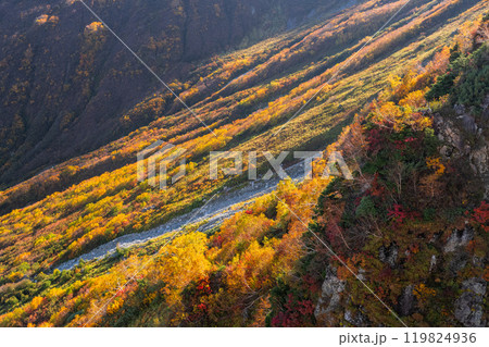 《富山県》紅葉の立山黒部アルペンルート・大観峰雲上テラス 《富山県》紅葉の立山黒部アルペンルート・大観峰雲上テラス 119824936