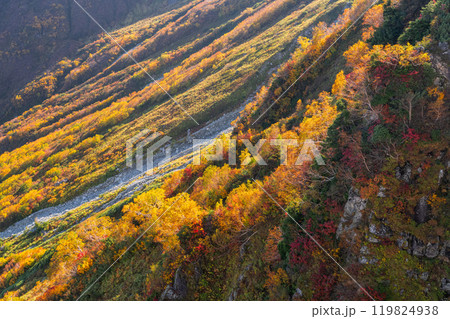 《富山県》紅葉の立山黒部アルペンルート・大観峰雲上テラス 119824938
