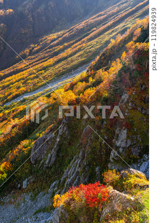 《富山県》紅葉の立山黒部アルペンルート・大観峰雲上テラス 119824939
