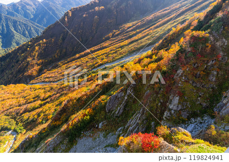 《富山県》紅葉の立山黒部アルペンルート・大観峰雲上テラス 119824941