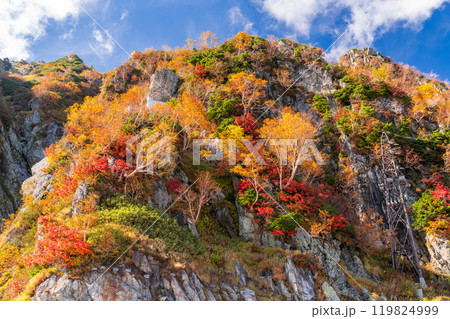 《富山県》秋の立山黒部アルペンルート・大観峰の紅葉 119824999