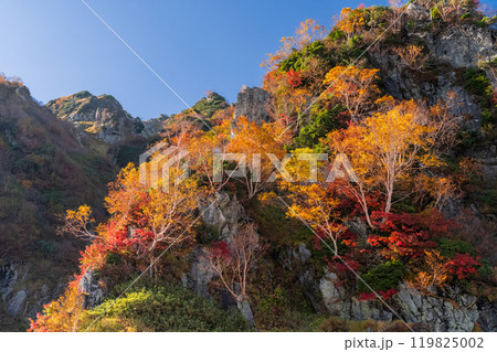 《富山県》秋の立山黒部アルペンルート・大観峰の紅葉 《富山県》秋の立山黒部アルペンルート・大観峰の紅葉 119825002