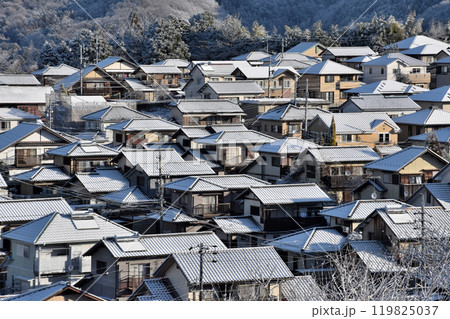 丘の上の住宅の屋根に積もった雪、 119825037
