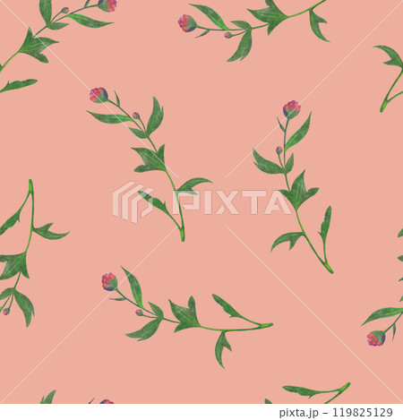 Chrysanthemum Flower Seamless Pattern. Floral Digital Paper. 119825129