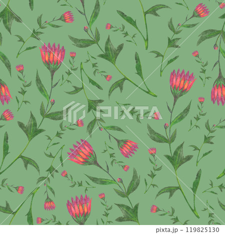 Chrysanthemum Flower Seamless Pattern. Floral Digital Paper. Chrysanthemum Flower Seamless Pattern. Floral Digital Paper. 119825130