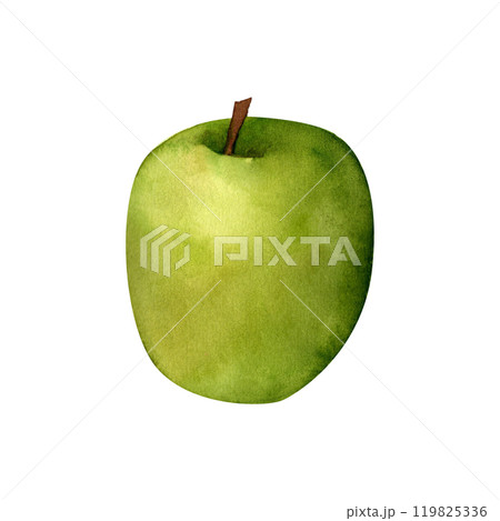 Juicy green apple, watercolor realistic botanical illustration, for prints, invitations, postcards dedicated to the autumn holidays Thanksgiving, harvest festival, farmer's market, kitchen, menu 119825336