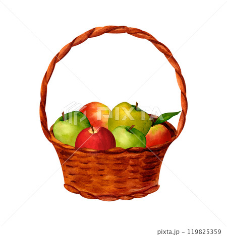 Wicker basket of red and green apple, watercolor realistic illustration, for prints, invitations, postcards to the autumn holidays Thanksgiving, harvest festival, farmer's market, kitchen, menu 119825359