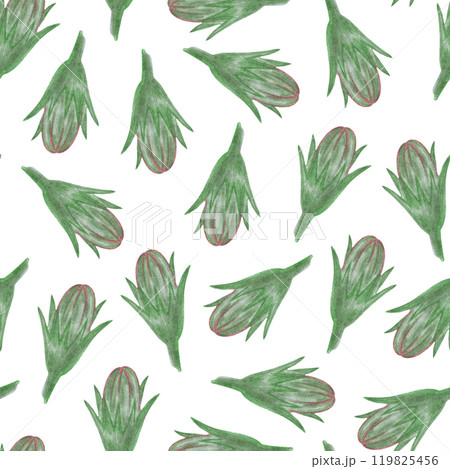 Simple Cornflower Floral Seamless Pattern on a White Background. 119825456