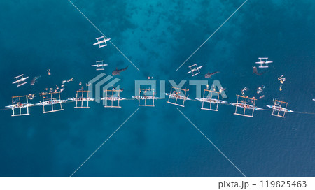 Aerial view Whale shark swimming in ocean, Oslob Whale Shark Watching, Whale shark watching in Oslob , Cebu , Philippines, Oslob, Cebu, Philippines. 119825463