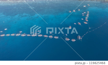 Aerial view Whale shark swimming in ocean, Oslob Whale Shark Watching, Whale shark watching in Oslob , Cebu , Philippines, Oslob, Cebu, Philippines. 119825468