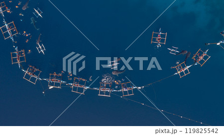 Aerial view Whale shark swimming in ocean, Oslob Whale Shark Watching, Whale shark watching in Oslob , Cebu , Philippines, Oslob, Cebu, Philippines. 119825542