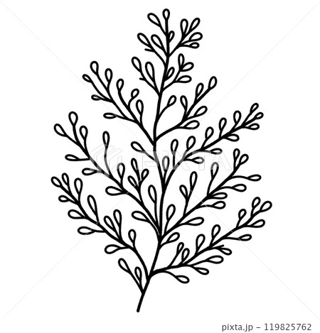 Leaf branch Hand drawn Christmas Winter christianity religion graphic vector illustration isolated on white background color editable  119825762