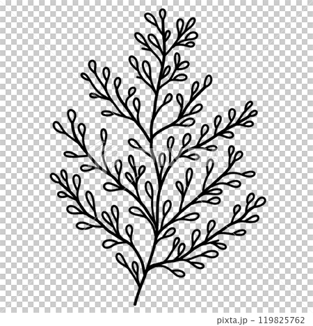 Leaf branch Hand drawn Christmas Winter christianity religion graphic vector illustration isolated on white background color editable Leaf branch Hand drawn Christmas Winter christianity religion graphic vector illustration isolated on white background color editable 119825762