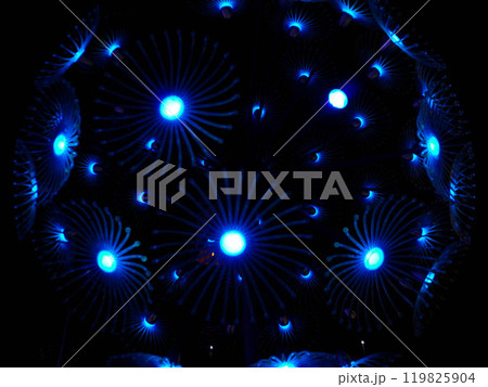 Blue LED Ball Simulation of Jellyfish on a dark background. Blue LED Ball Simulation of Jellyfish on a dark background. 119825904