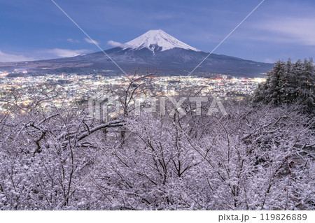 《山梨県》富士山と積雪の新倉山浅間公園・日本の雪景色 《山梨県》富士山と積雪の新倉山浅間公園・日本の雪景色 119826889