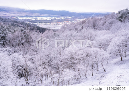 《山梨県》雪景色の二十曲峠・冬の忍野村 《山梨県》雪景色の二十曲峠・冬の忍野村 119826995