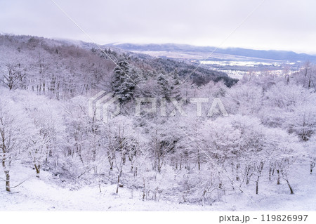 《山梨県》雪景色の二十曲峠・冬の忍野村 119826997