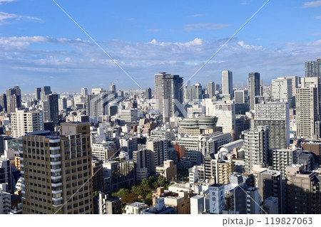 朝霧に浮かぶ大阪城、生駒山、大阪とならを隔てる、大阪城公園、大阪府庁、朝霧、いにしえの山々、大阪 119827063