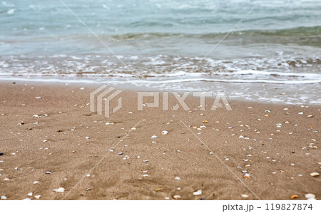 Gentle Waves Lap at a Sandy Beach Scattered With Seashells on a Calm Day by the Ocean 119827874