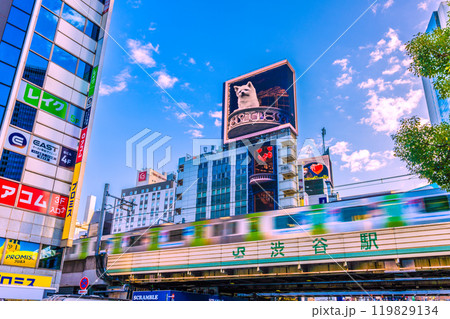日本の東京都市景観 早朝…。ハチ公改札側から渋谷駅や山手線、2匹の3Dハチなどを望む＝21日 119829134