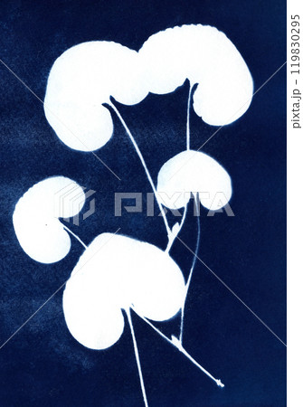 Plant leaves cyanotype. Alternative photography. Abstract floral illustration. A Sun Print. Blue cyanotype of herbs. Silhouettes of plants on a blue background. Plant illustration. 119830295
