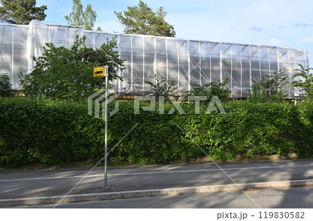 a bus stop sign positioned in front of a green hedge a bus stop sign positioned in front of a green hedge 119830582