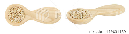 Sorghum seeds in wooden spoon isolated on white background. Top view. Flat lay. 119831189