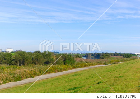 千葉県野田市江戸川サイクリングロード2024年10月 119831799