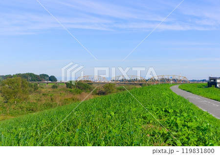 千葉県野田市江戸川サイクリングロード2024年10月 119831800
