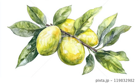 A cluster of ripe lemons hangs from a vibrant green branch, surrounded by lush leaves, beautifully illustrated in watercolor, capturing the essence of fresh produce 119832982
