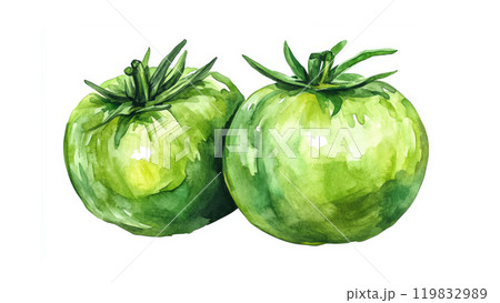 Two vibrant green tomatoes are presented against a white background, highlighting their fresh appearance and unique texture, perfect for culinary use 119832989