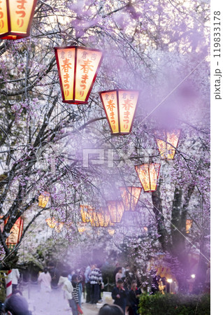 夜桜　打吹公園 119833178