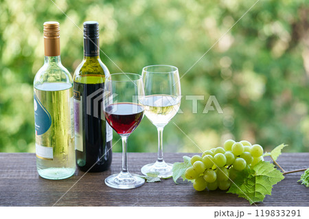 赤ワインと白ワイン 赤ワインと白ワイン 119833291