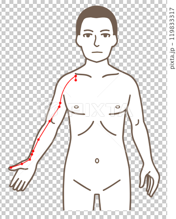 針灸穴位、手太陰經、壓點圖解 針灸穴位、手太陰經、壓點圖解 119833317