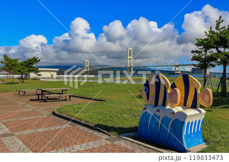 北海道 室蘭市 絵鞆臨海公園と白鳥大橋 北海道 室蘭市 絵鞆臨海公園と白鳥大橋 119833473