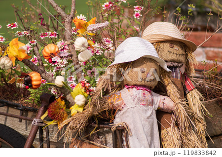 ローザンベリー多和田　ハロウィン 119833842