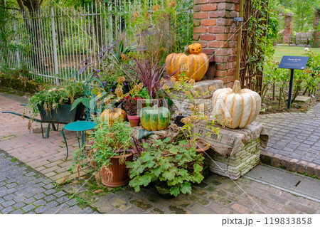 ローザンベリー多和田　ハロウィン 119833858