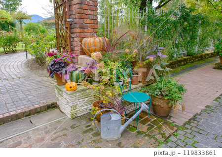 ローザンベリー多和田　ハロウィン 119833861