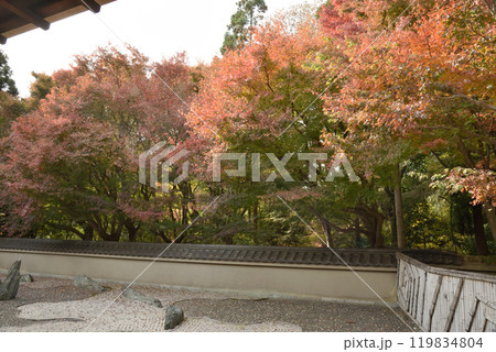 東福寺塔頭 龍吟庵 西庭 龍の庭 東福寺塔頭 龍吟庵 西庭 龍の庭 119834804