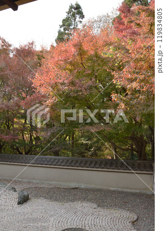 東福寺塔頭 龍吟庵 西庭 龍の庭 東福寺塔頭 龍吟庵 西庭 龍の庭 119834805