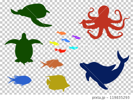 海洋生物插圖集剪影 海洋生物插圖集剪影 119835293