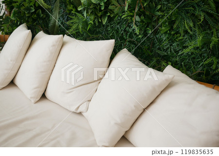 Cozy Beige Cushions Positioned on a Stylish Sofa Nestled Amongst Lush Green Foliage Cozy Beige Cushions Positioned on a Stylish Sofa Nestled Amongst Lush Green Foliage 119835635