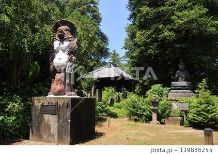 群馬県館林市の茂林寺の風景 群馬県館林市の茂林寺の風景 119836255