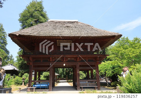 群馬県館林市の茂林寺の風景 群馬県館林市の茂林寺の風景 119836257