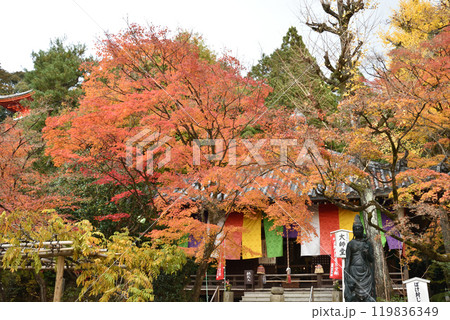 総本山泉涌寺塔頭　今熊野観音寺　大師堂 119836349